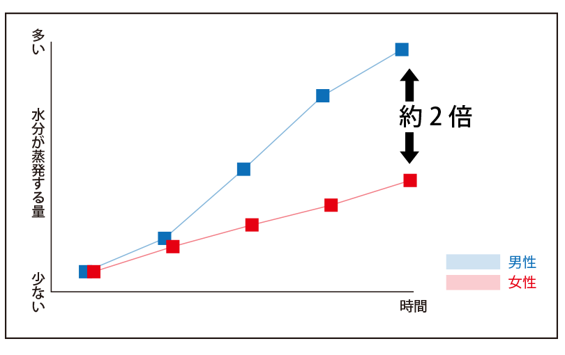 １日における男女の水分蒸発量の比較グラフ